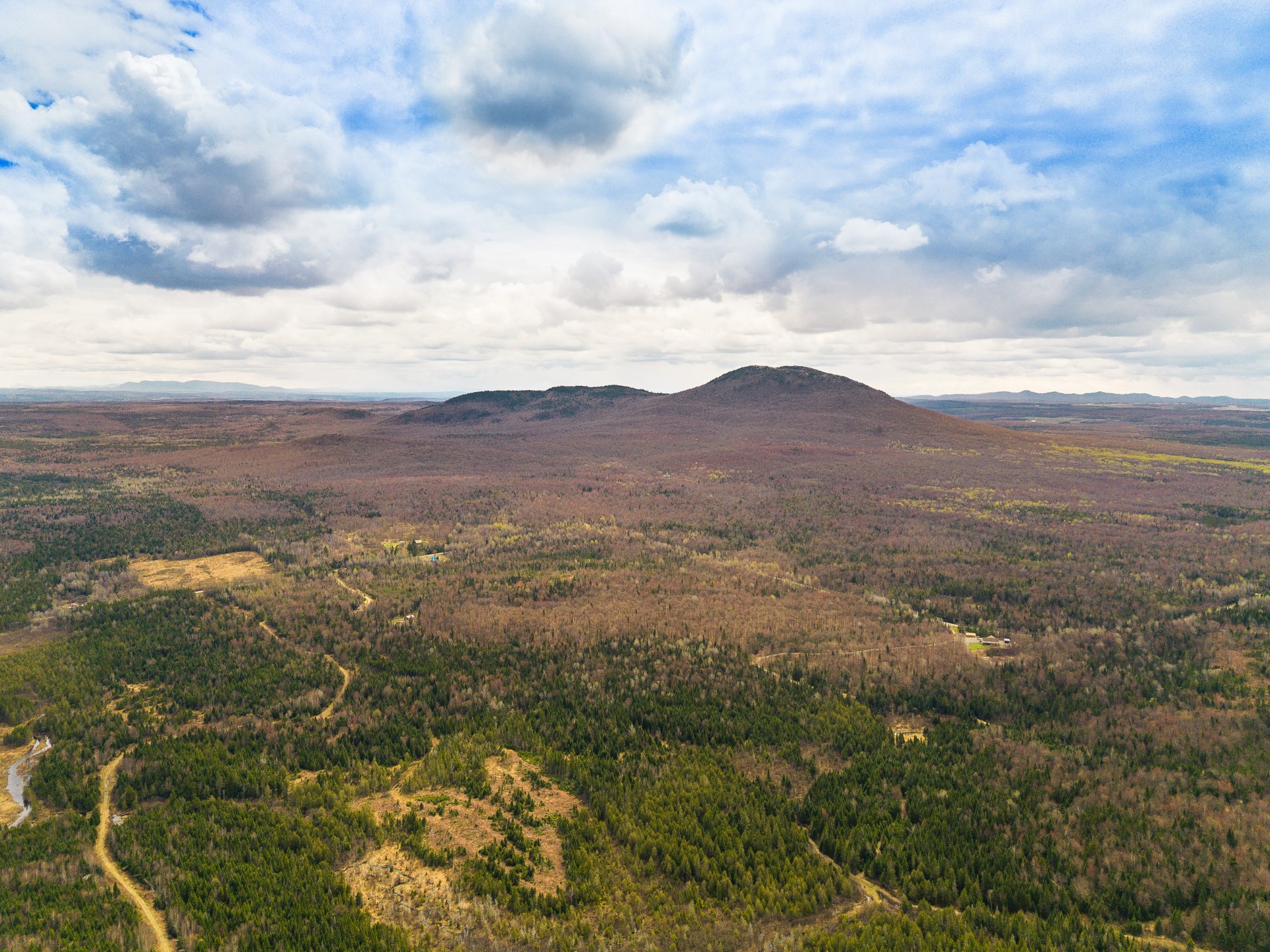 Photo - Aerial photo