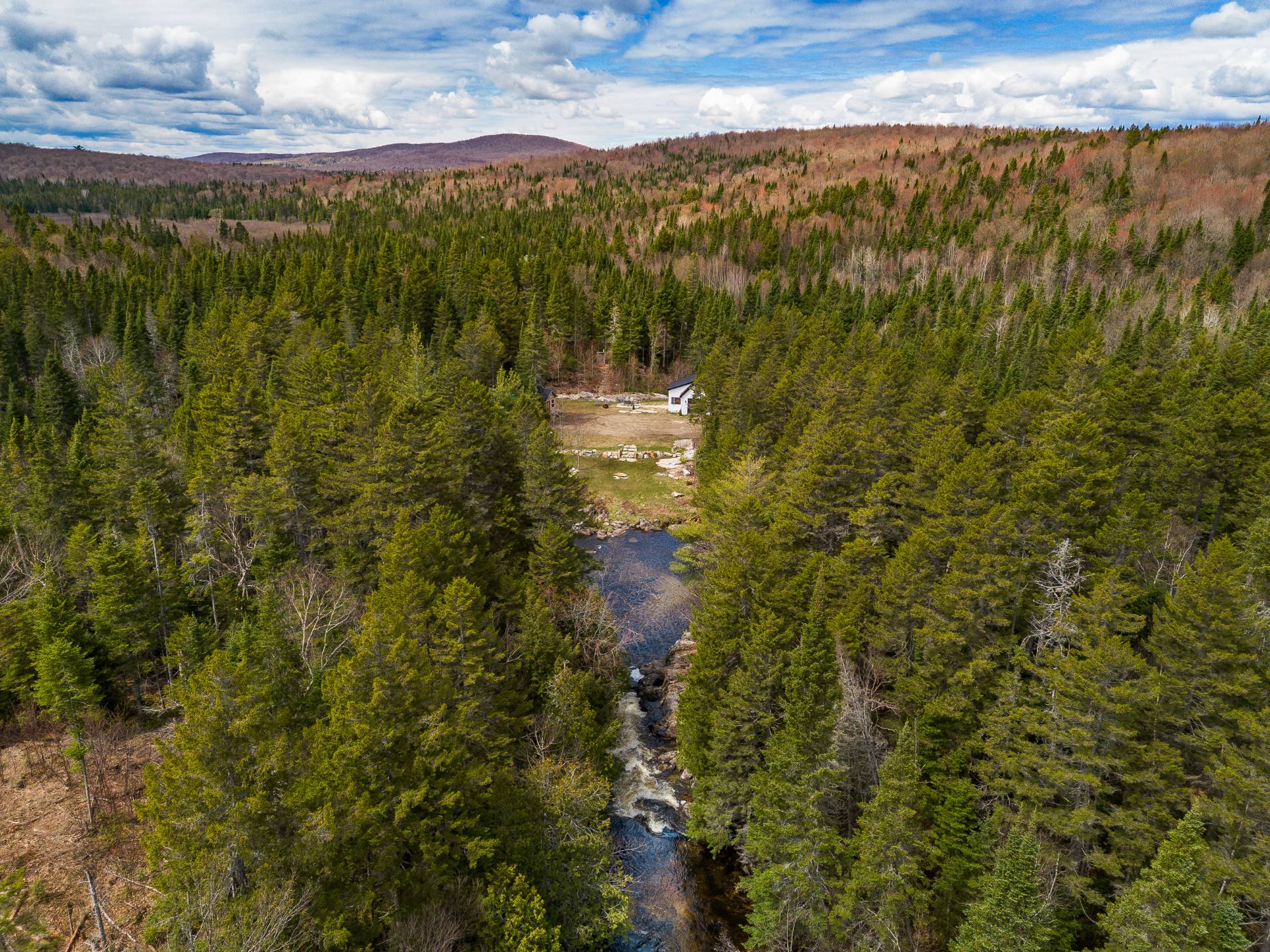 Photo - Aerial photo