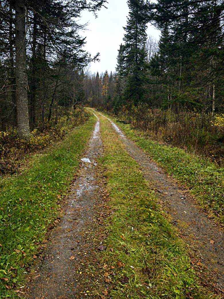 Photo - Other