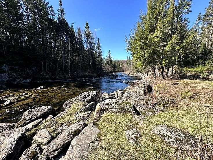 Photo - Other
