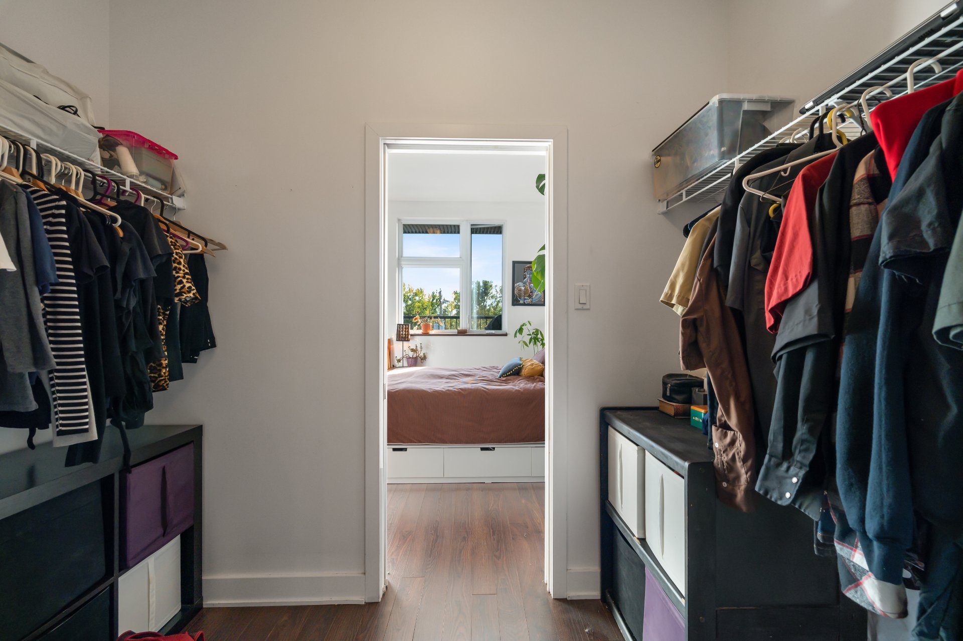 Photo - Penderie (Walk-in)