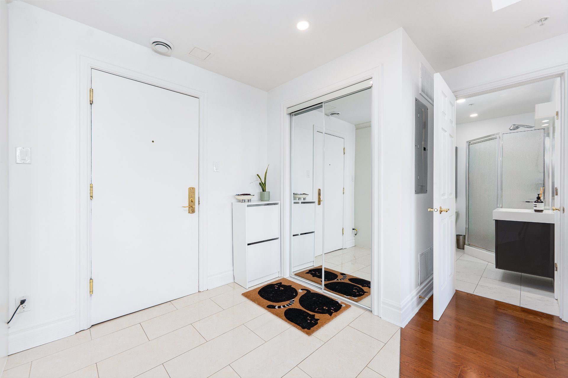 Photo - Hall d'entrée