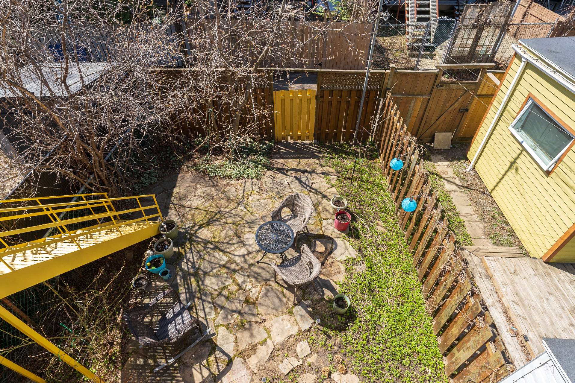 Photo - Backyard