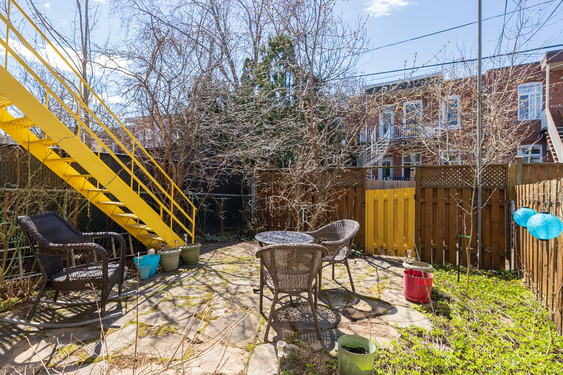 Photo - Backyard
