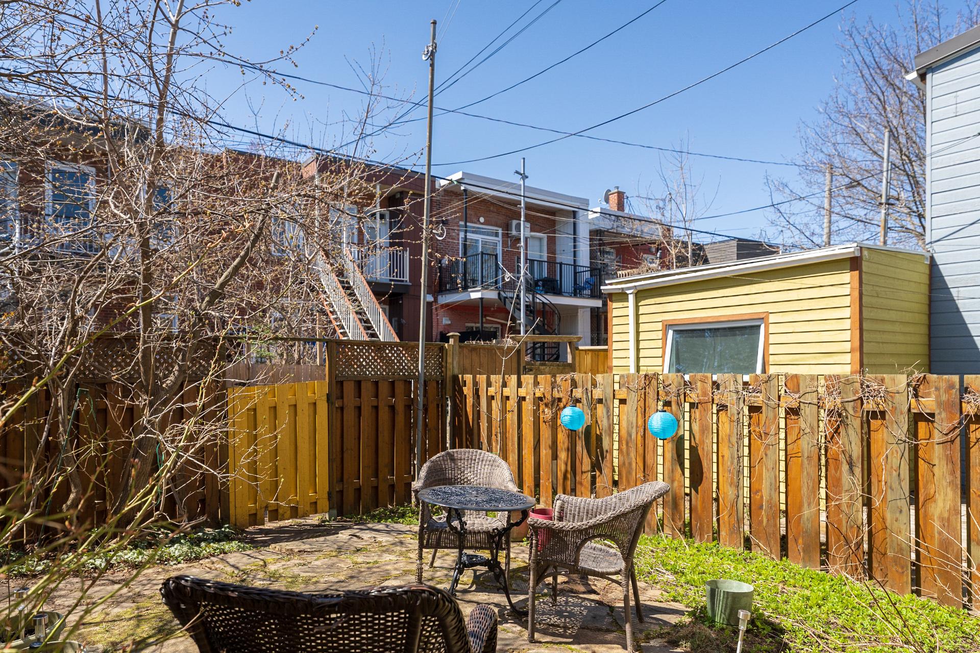 Photo - Backyard
