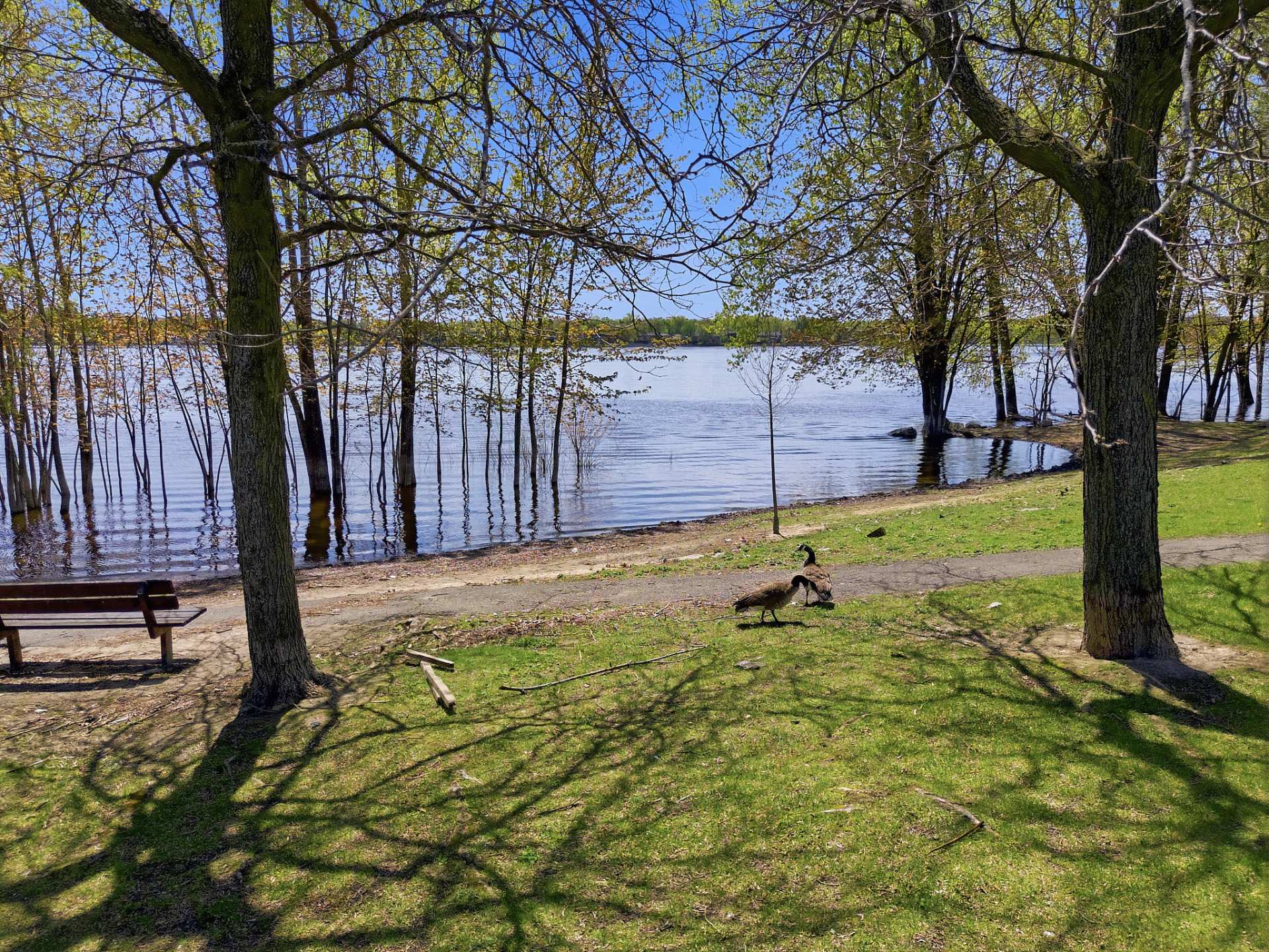 Photo - Waterfront