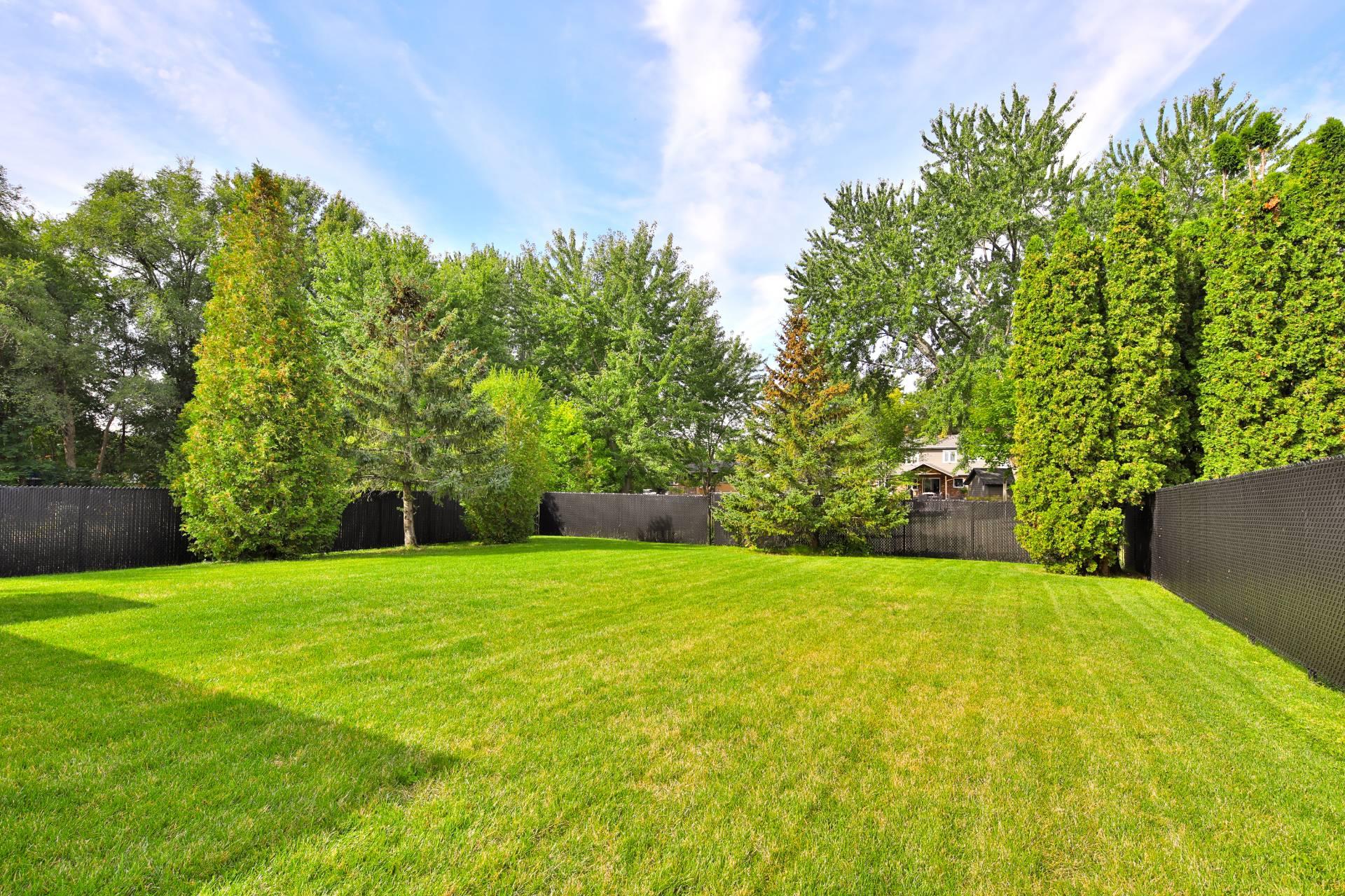 Photo - Backyard