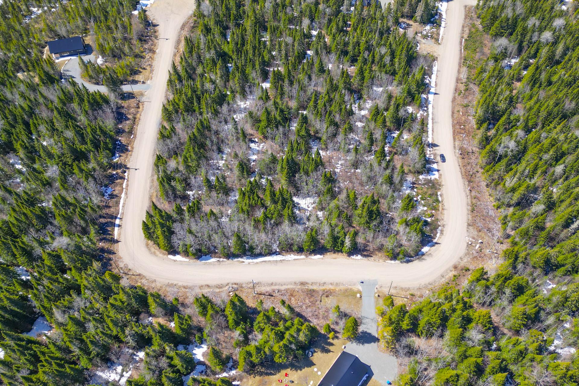 Photo - Aerial photo