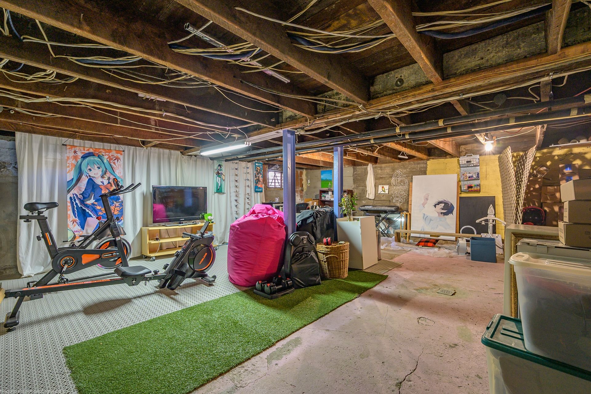 Photo - Basement