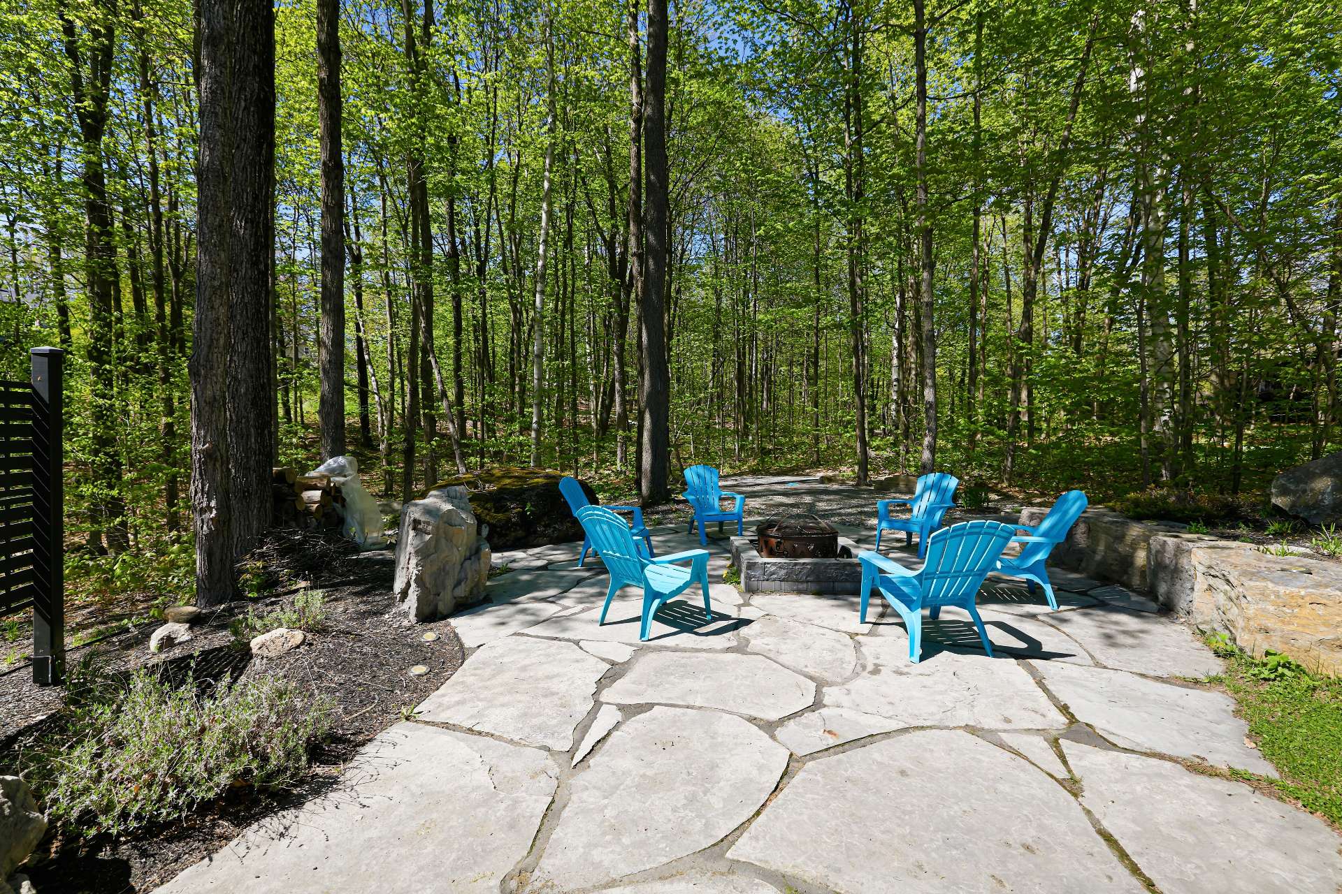 Photo - Backyard