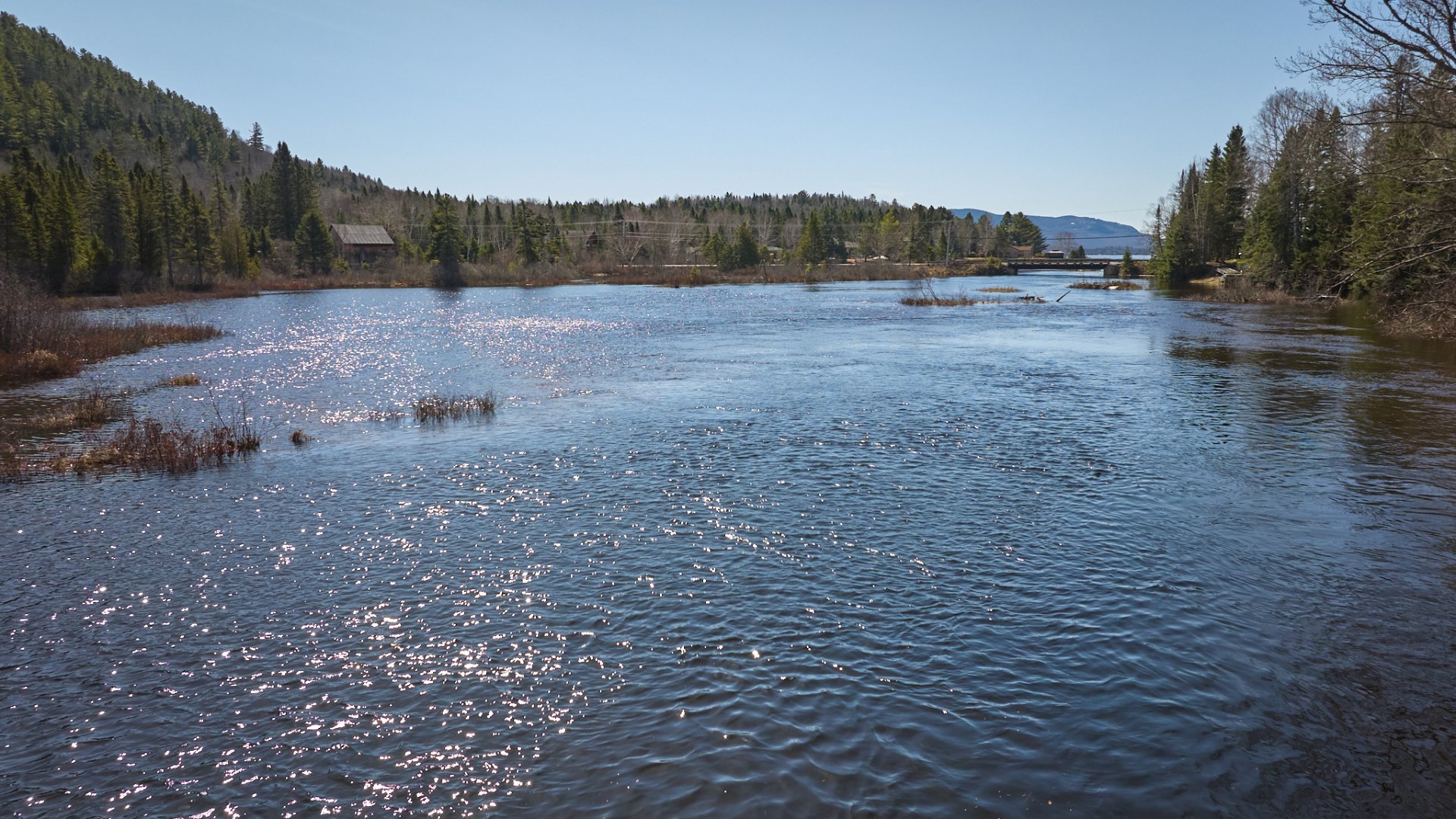 Photo - Bord de l'eau