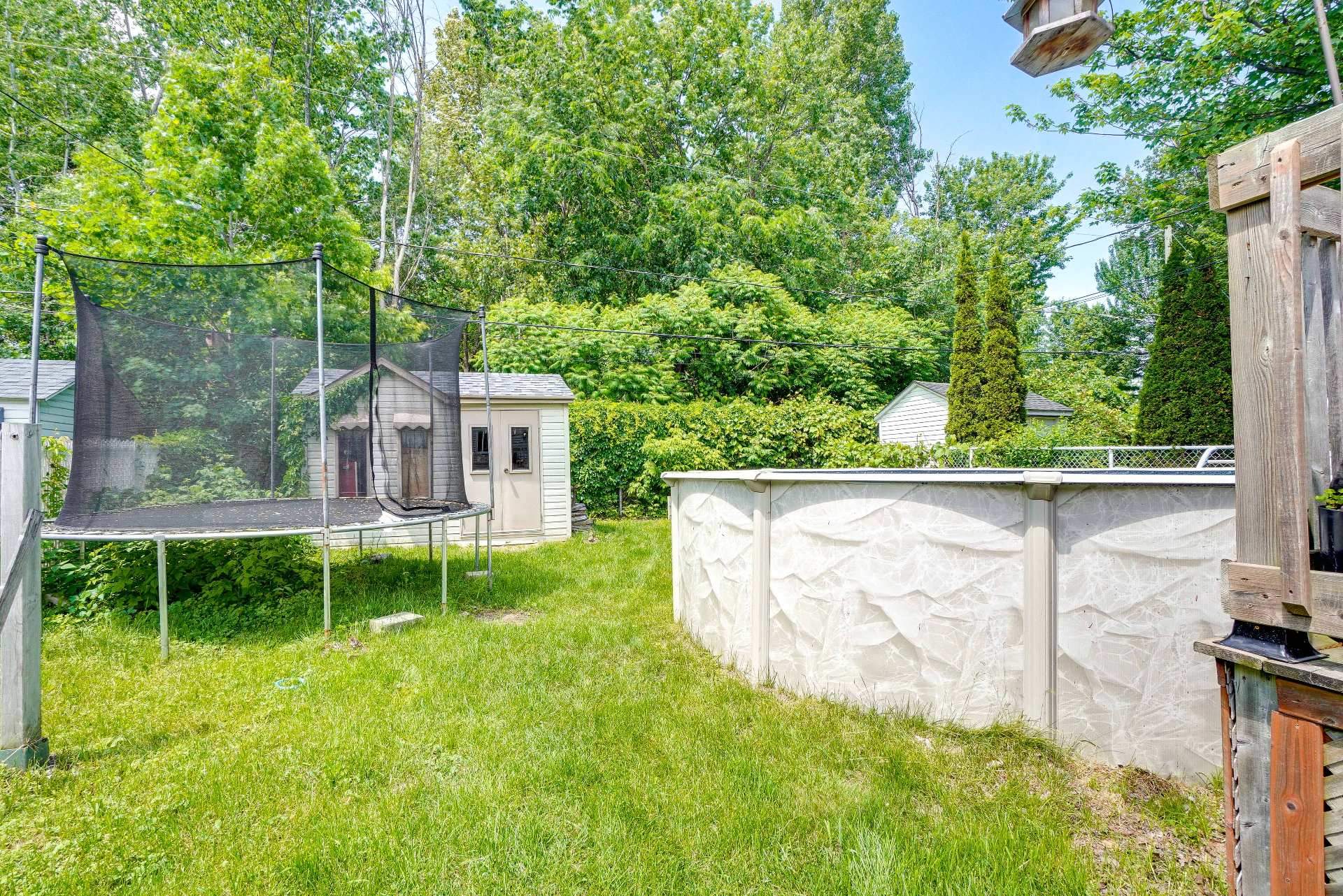Photo - Backyard