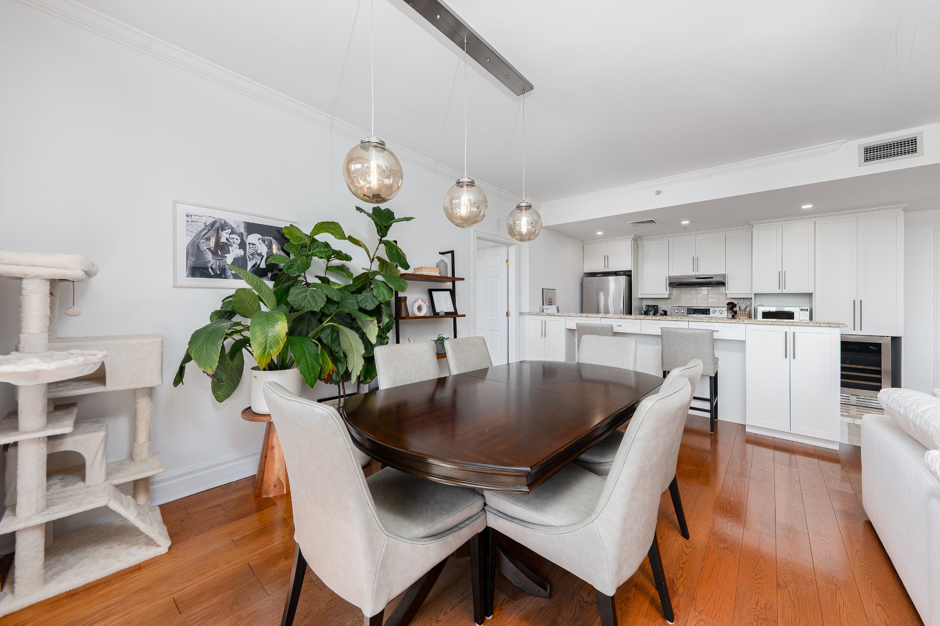 Photo - Salle à manger