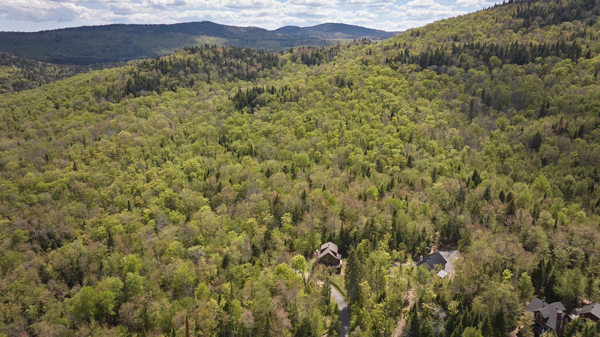 Photo - Aerial photo