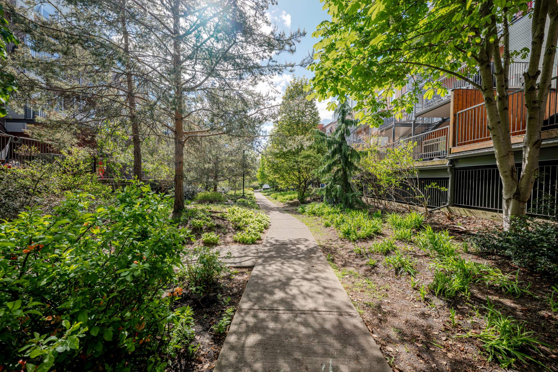 Photo - Garden