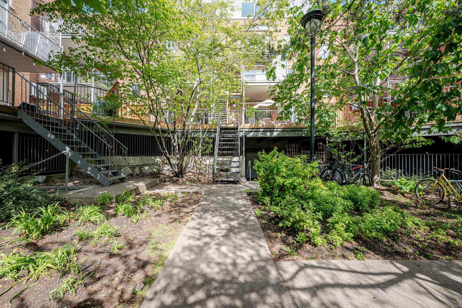 Photo - Garden