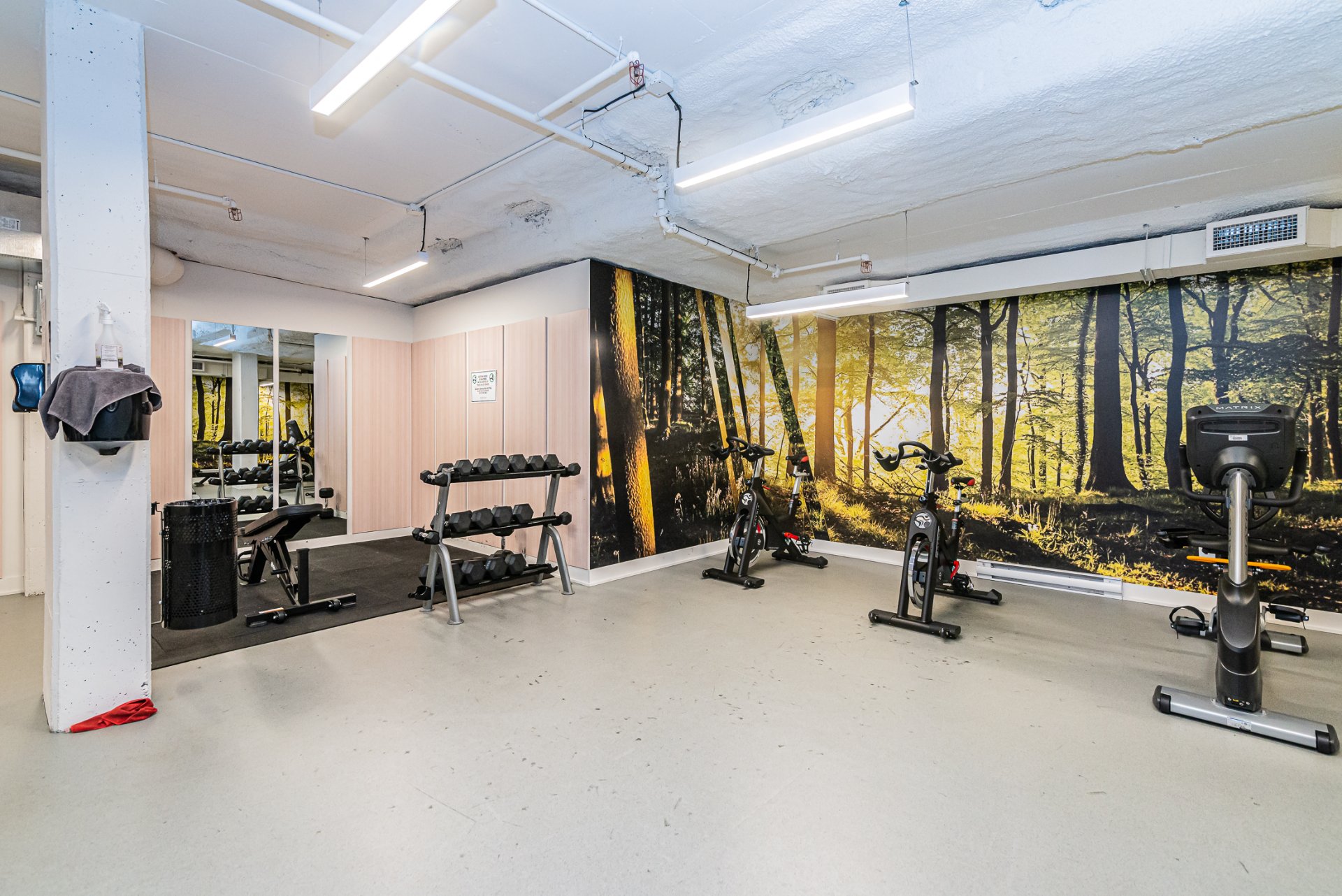 Photo - Exercise room