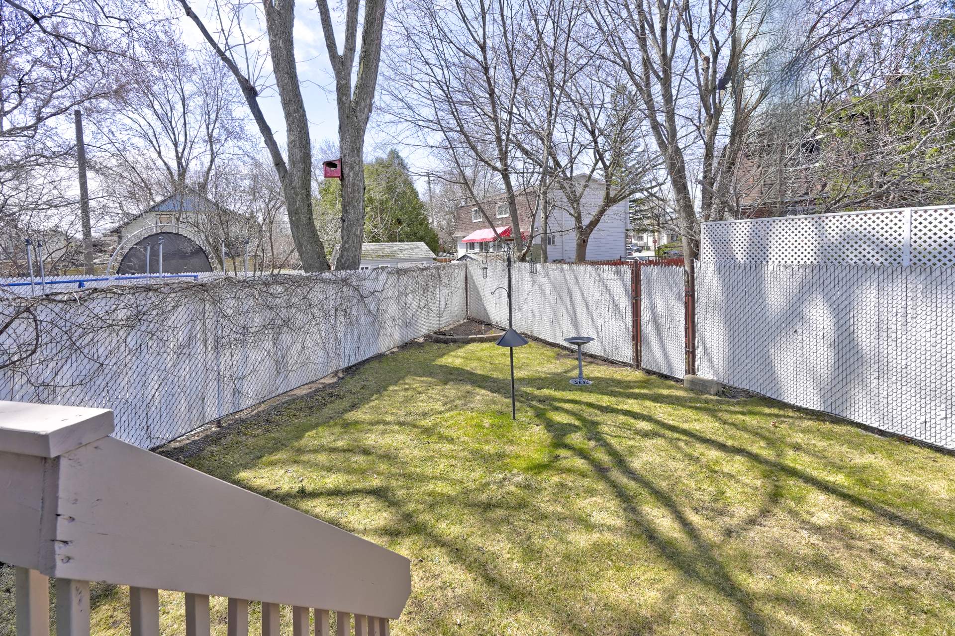Photo - Backyard