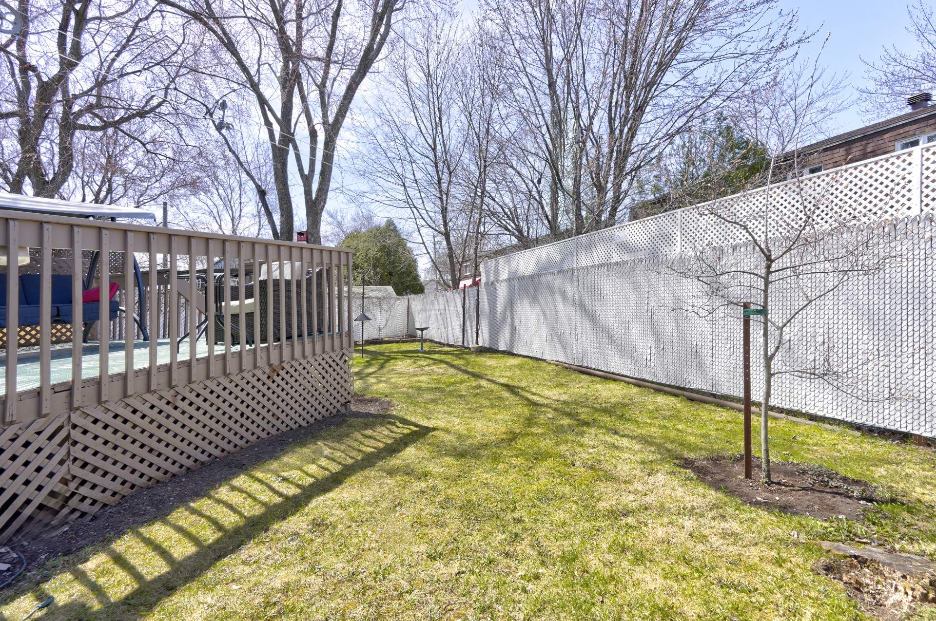 Photo - Backyard