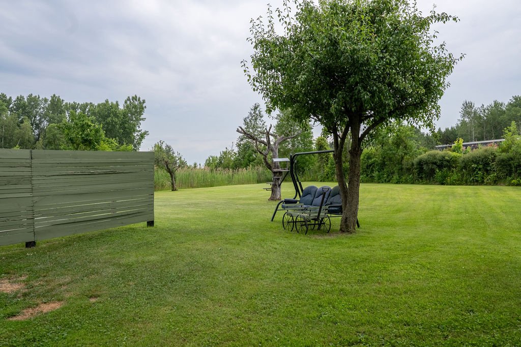 Photo - Backyard
