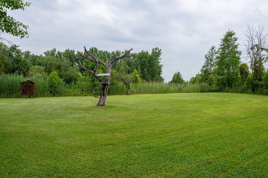 Photo - Backyard