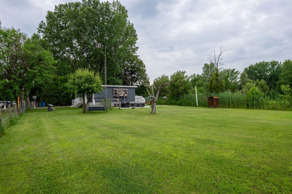 Photo - Backyard