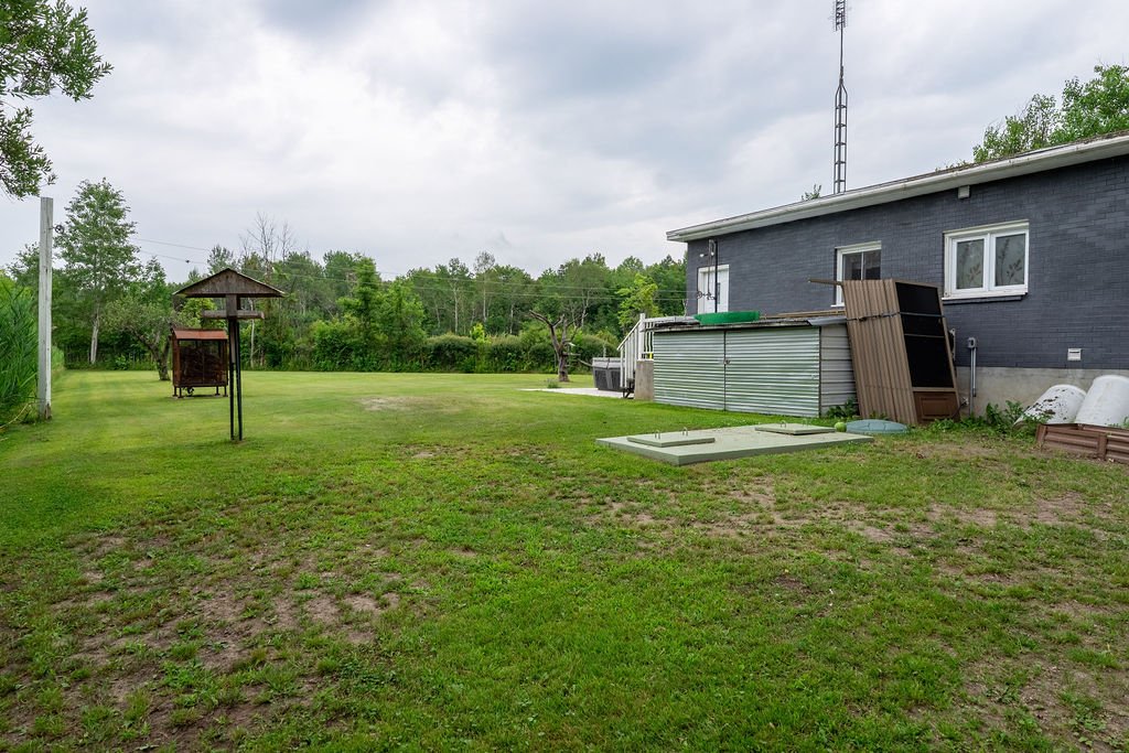 Photo - Backyard