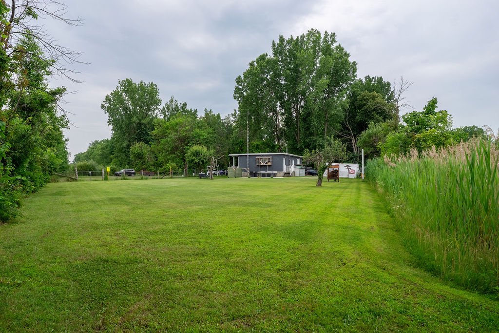 Photo - Backyard