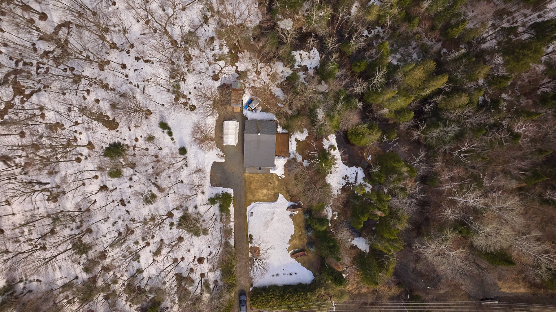 Photo - Overall View