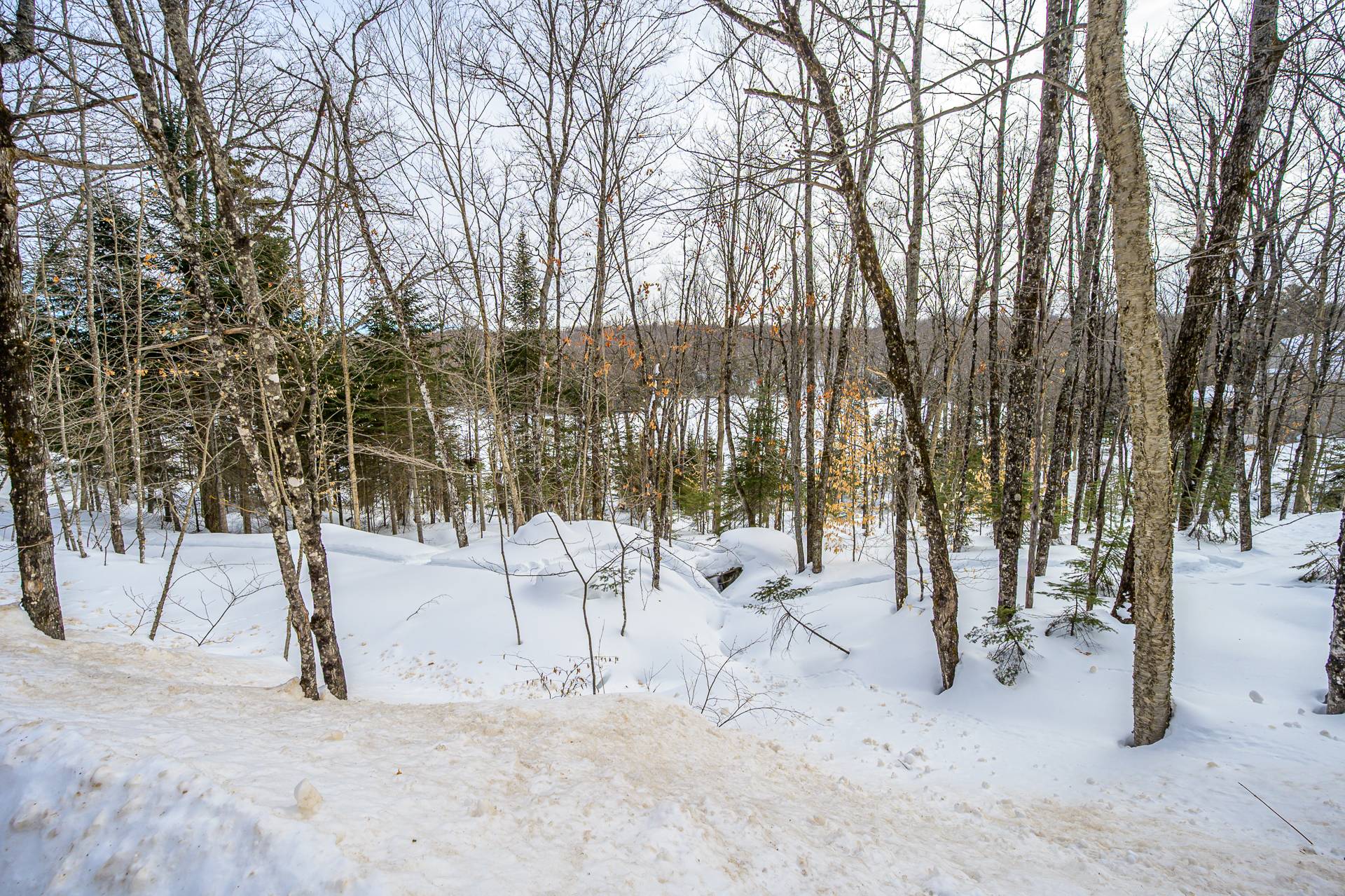 Photo - Terre/Terrain