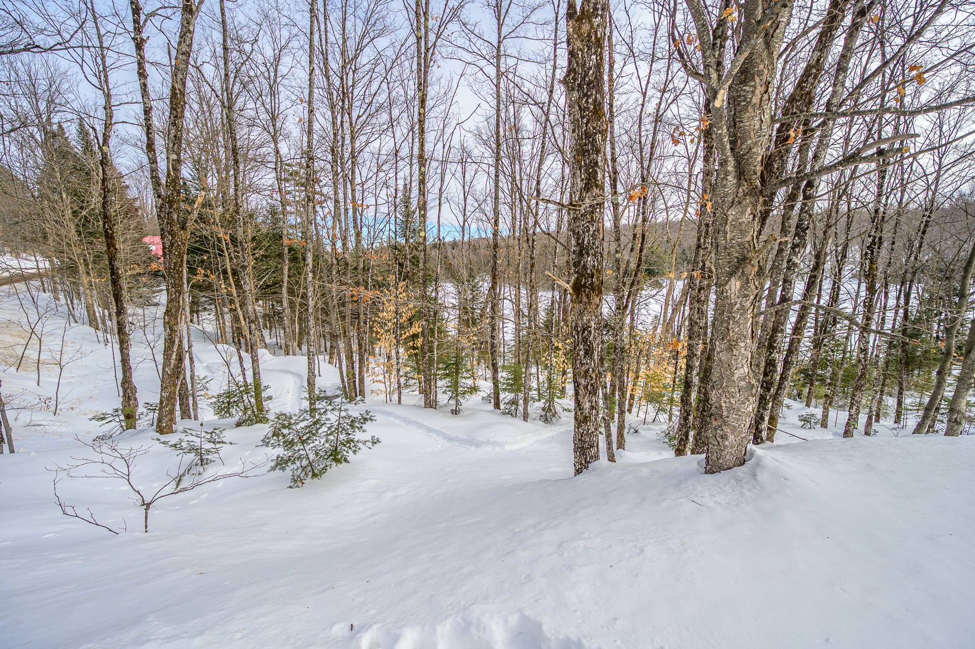 Photo - Terre/Terrain