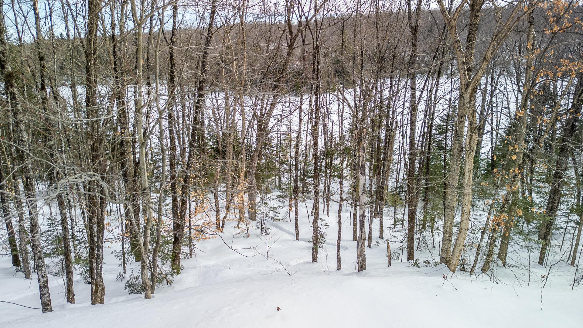 Photo - Terre/Terrain