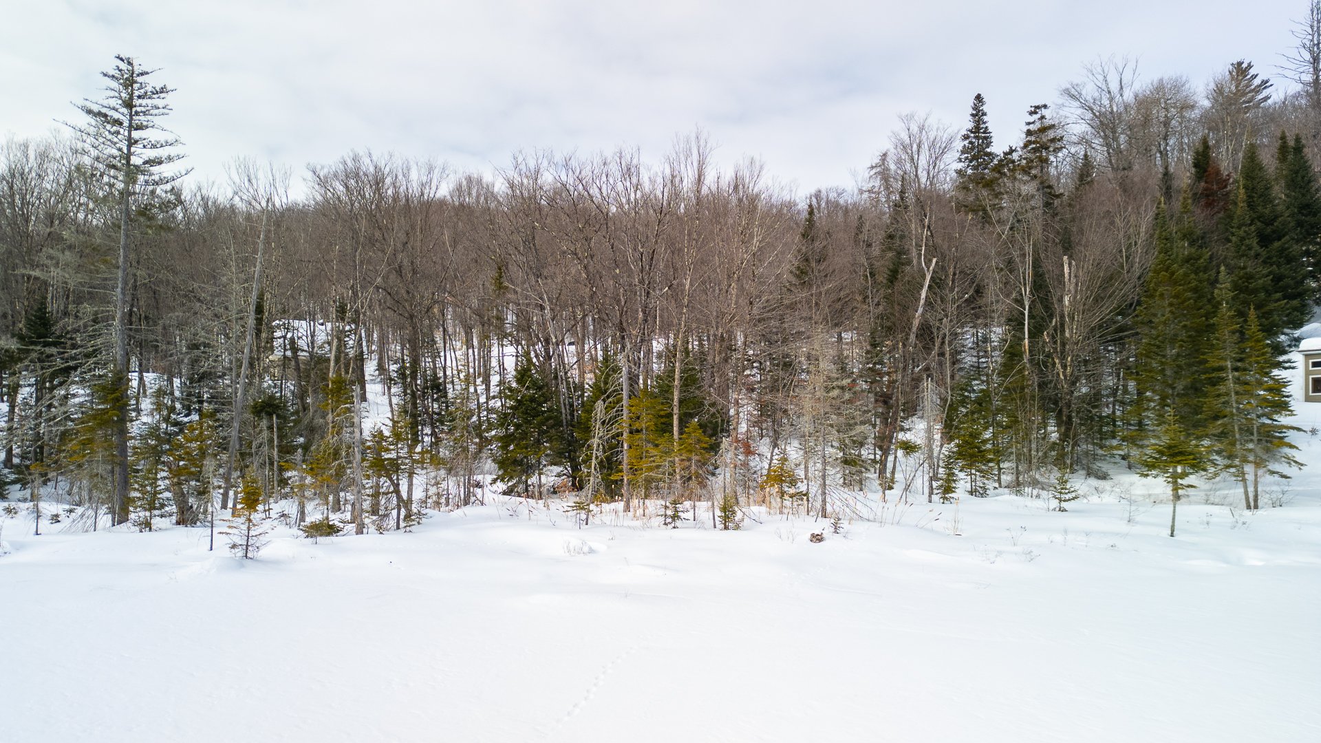 Photo - Face arrière