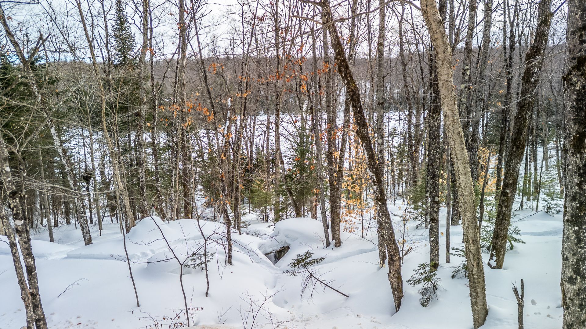 Photo - Terre/Terrain