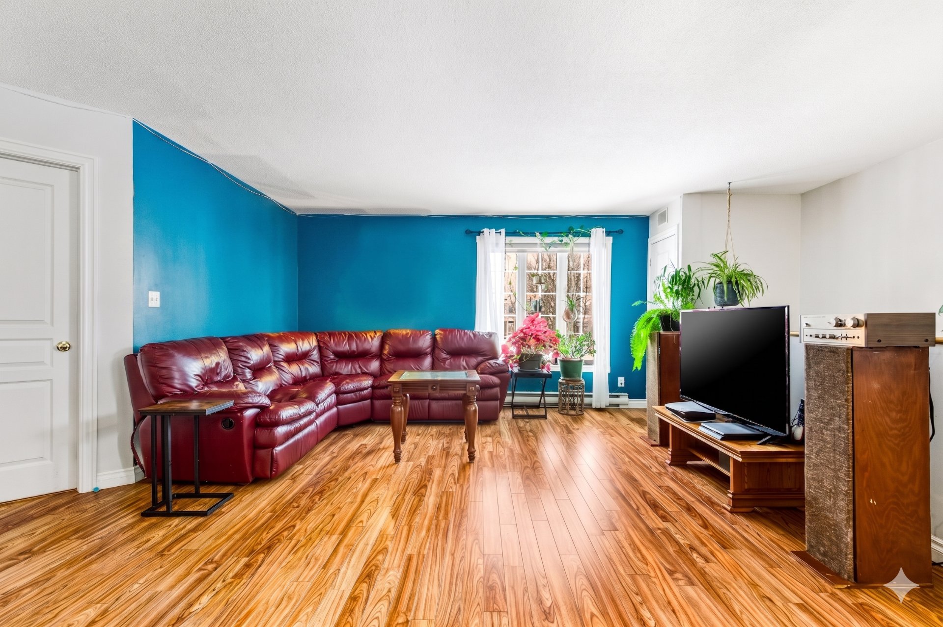Photo - Salon