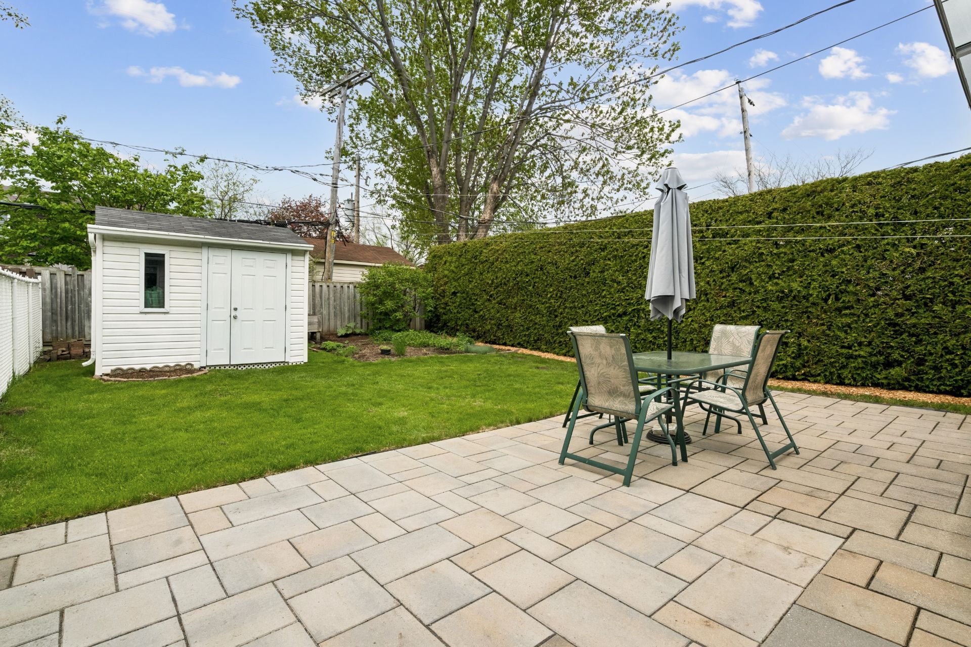 Photo - Backyard