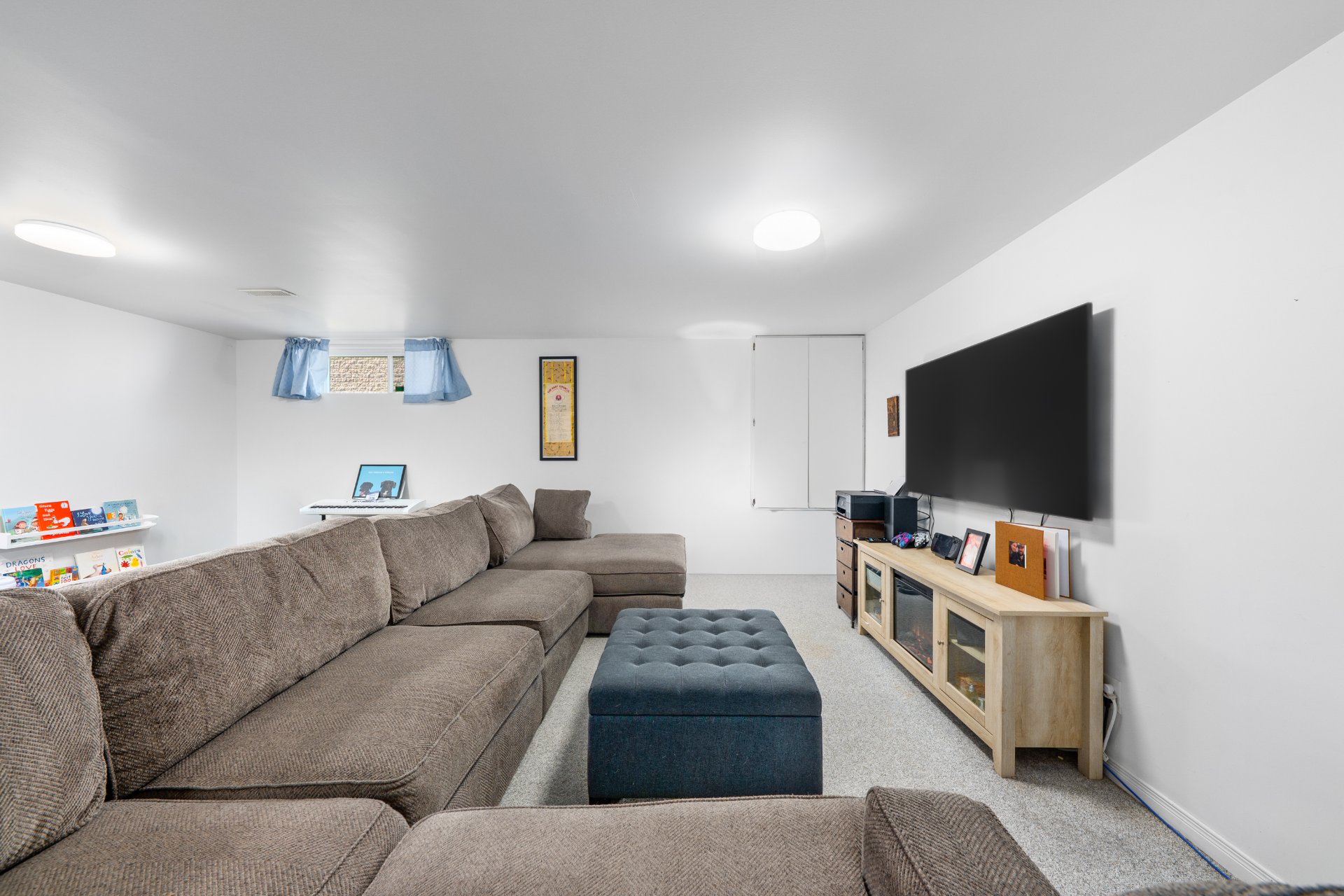 Photo - Basement