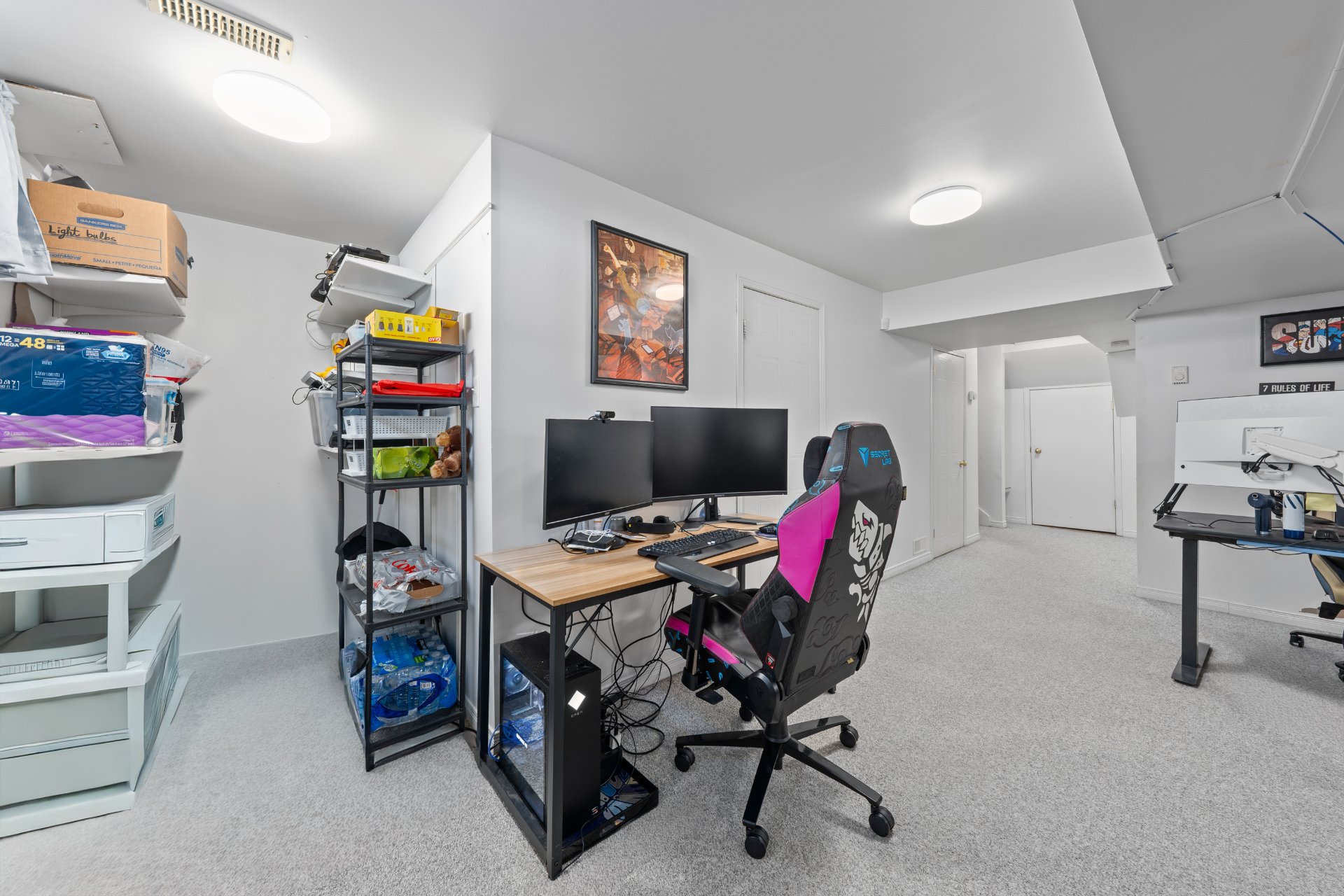 Photo - Basement