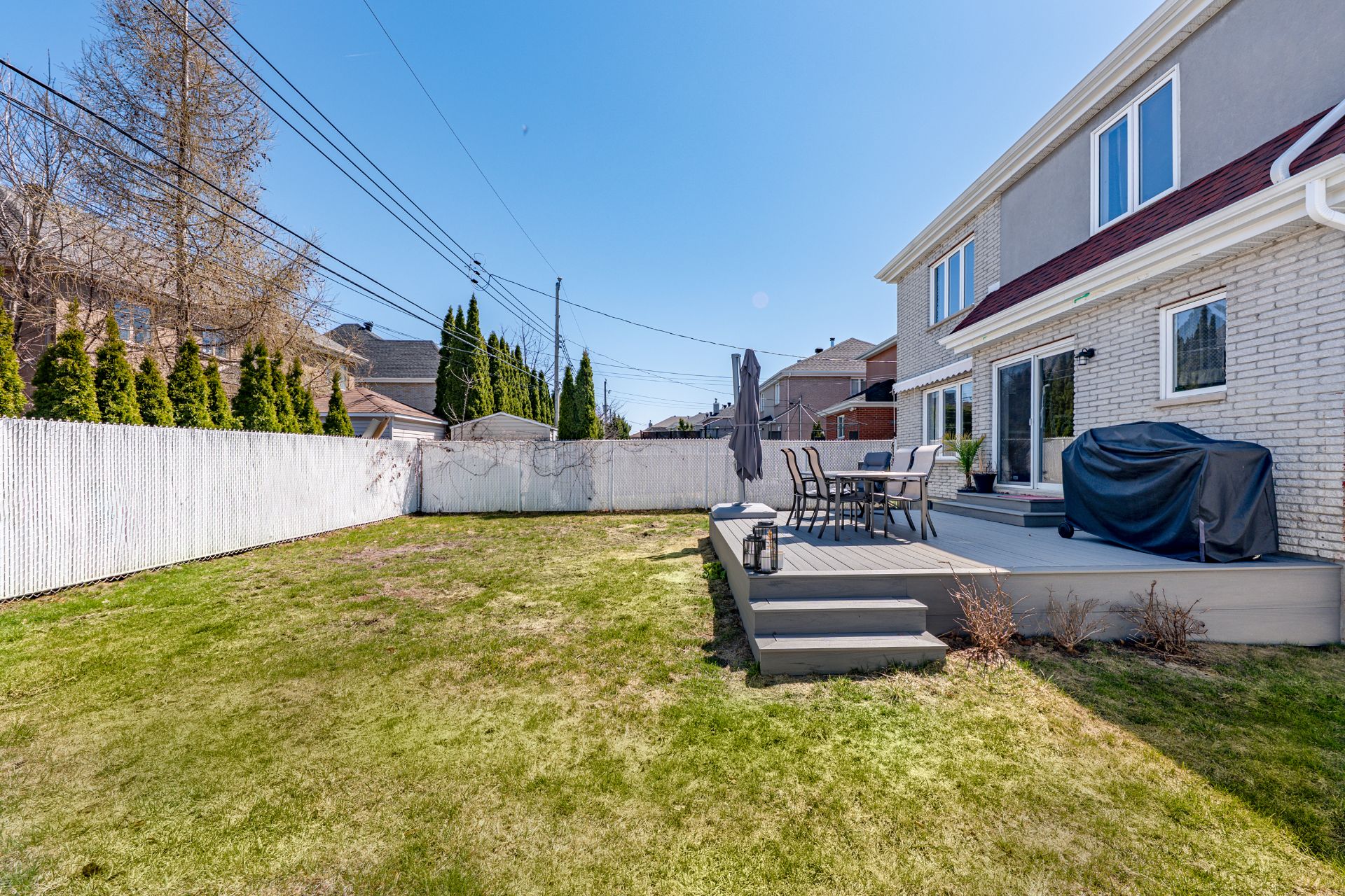 Photo - Backyard