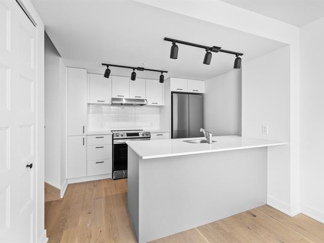 house for sale Montréal (Le Plateau-Mont-Royal)